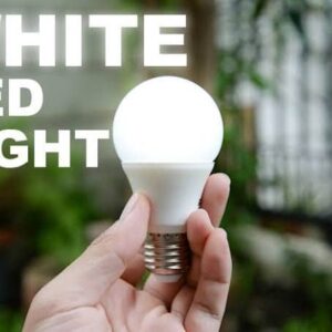 Led Light